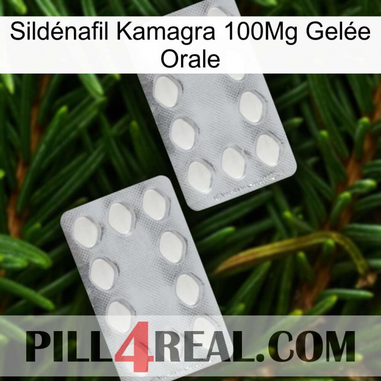 Sildénafil Kamagra 100Mg Gelée Orale 17